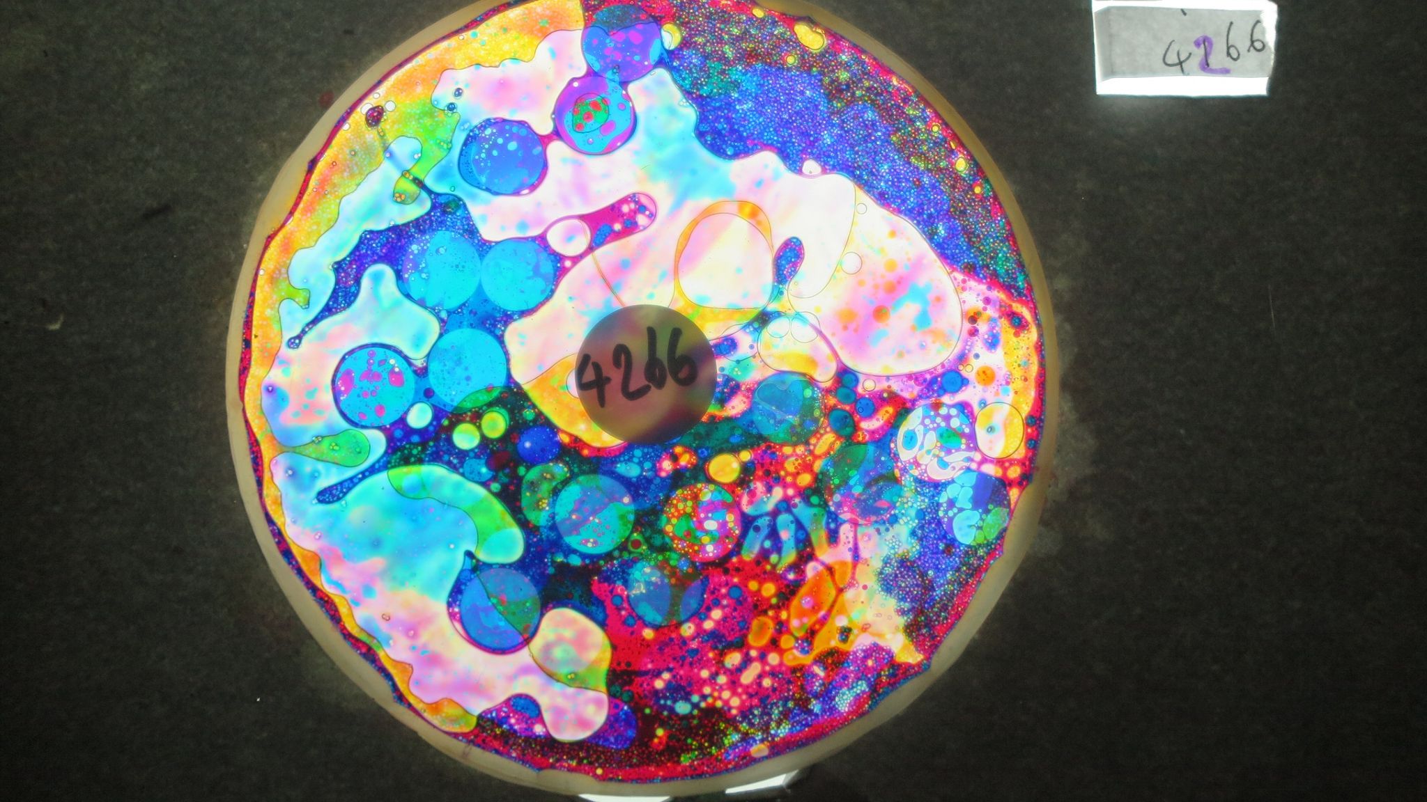 BV4266 bubble vision oil wheel